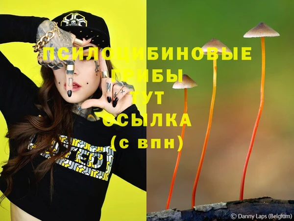 амф Великий Новгород